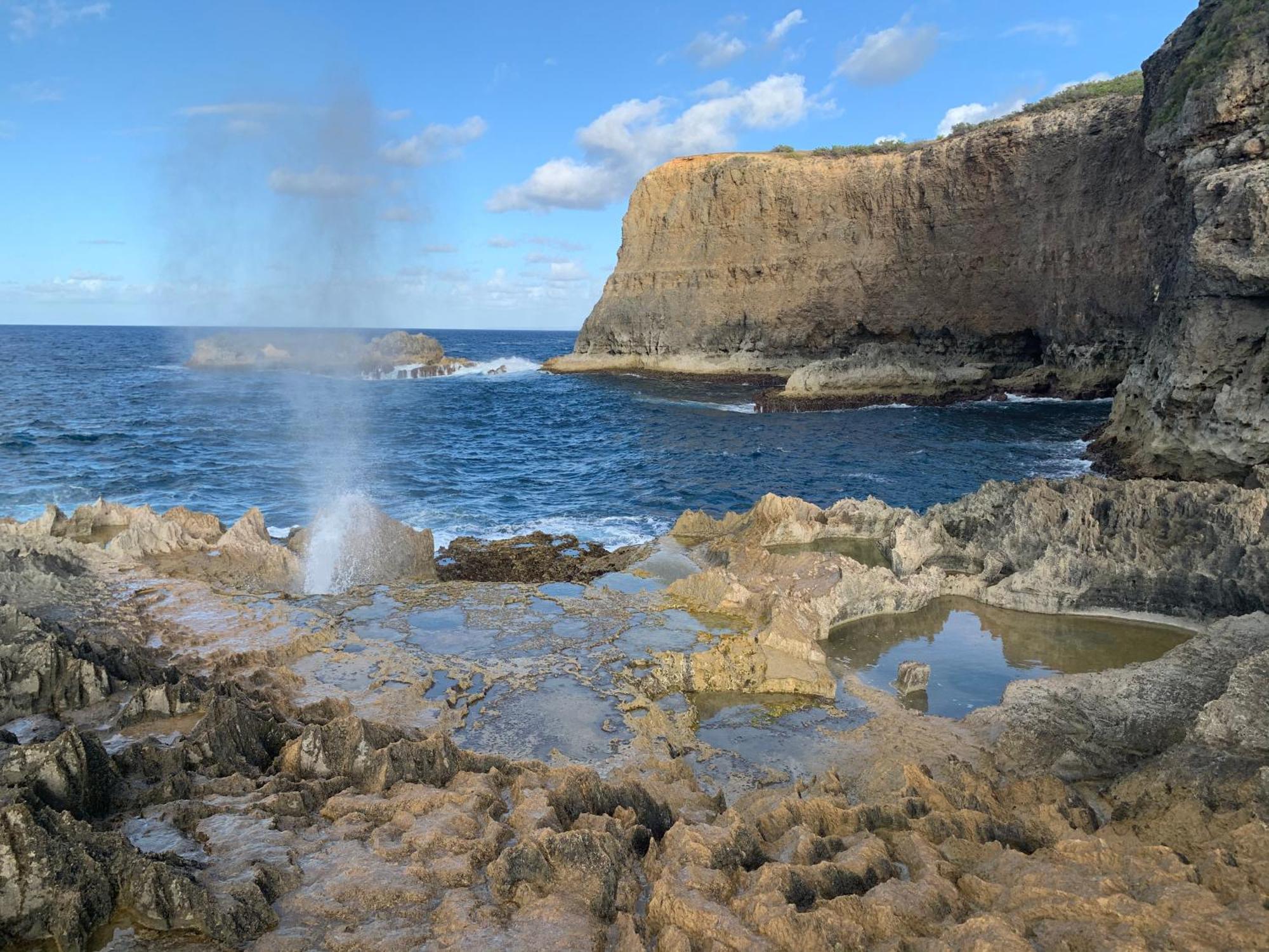 La Maison Creole Du Flamboyant - Proche Des Plages Anse-Bertrand Dış mekan fotoğraf