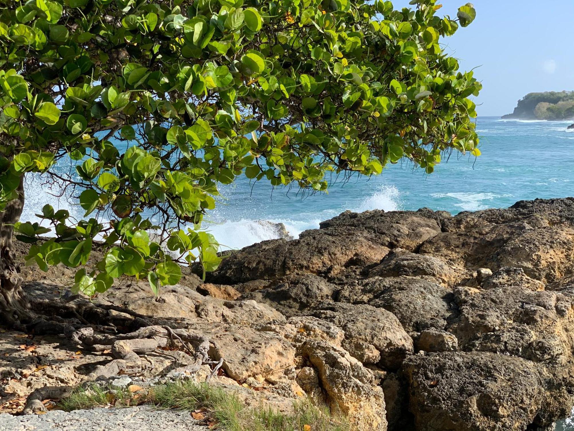La Maison Creole Du Flamboyant - Proche Des Plages Anse-Bertrand Dış mekan fotoğraf