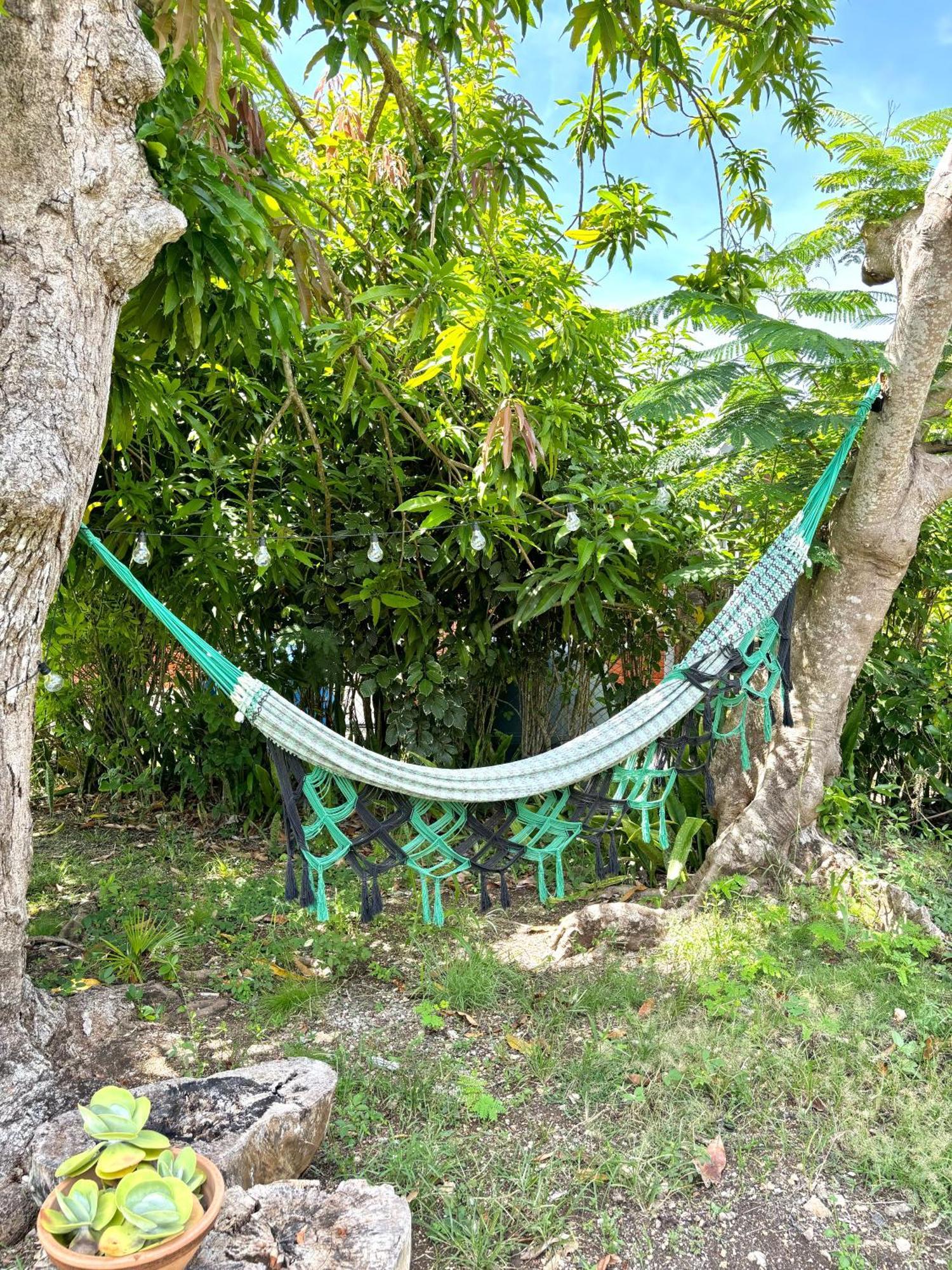La Maison Creole Du Flamboyant - Proche Des Plages Anse-Bertrand Dış mekan fotoğraf